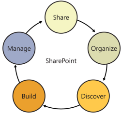 What is Share Point |Microsoft Share Point Basic Concepts - Salesforce ...