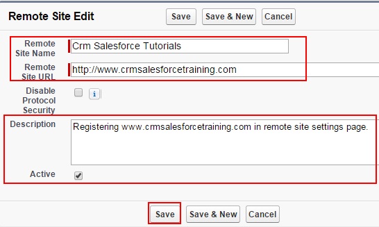 Salesforce Remote Site Settings -Accessing  External Websites